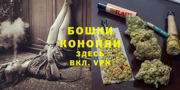 сатива Белоозёрский