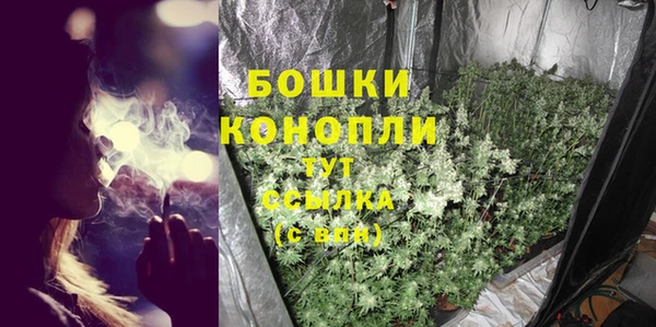 спайс Белокуриха