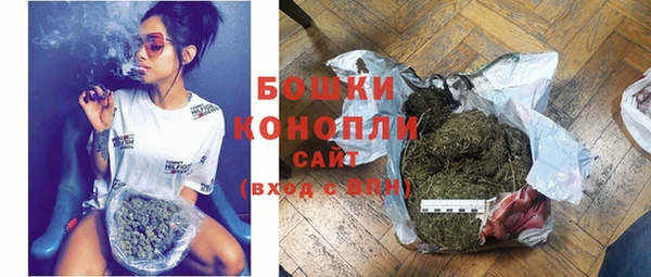 сатива Белоозёрский
