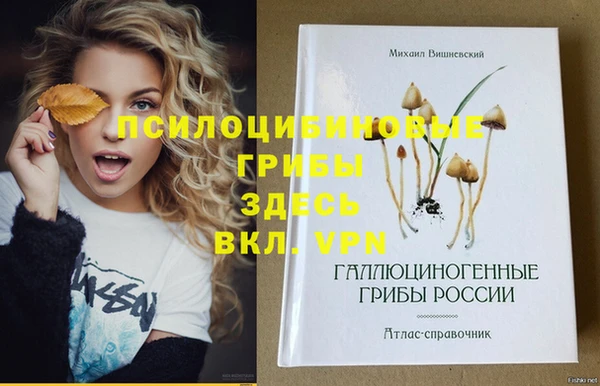 спайс Белокуриха