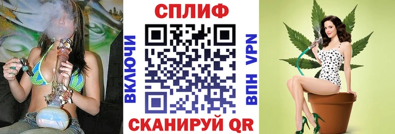 omg tor  Пионерский  Каннабис сатива 